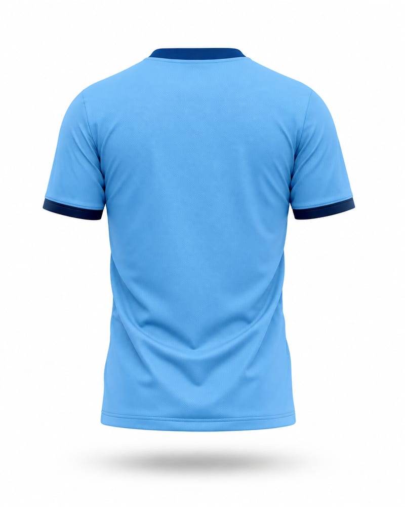 Sky Brush Cricket Jersey, sky blue, back