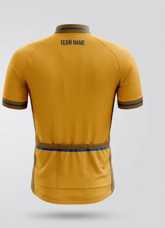 Amber Chevron Cycling Jersey, amber, back